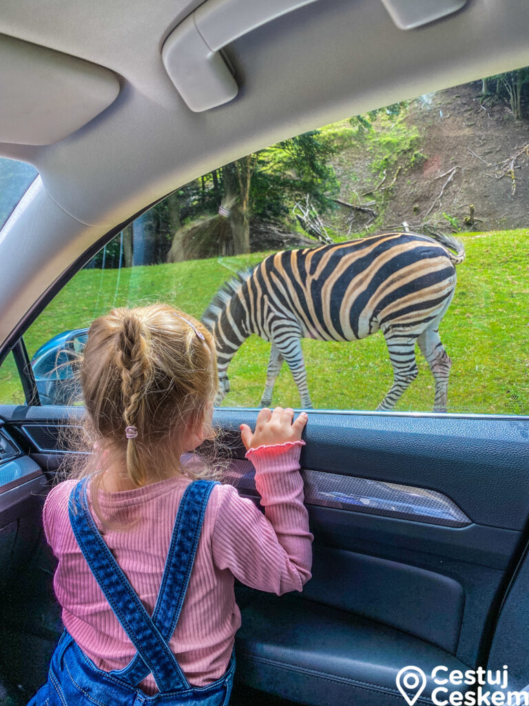 Safari Park Dvůr Králové